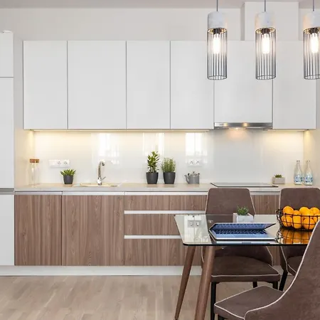 With Excellent Location In City Centre Riga